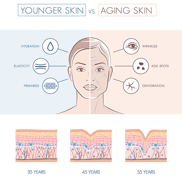 young vs aging skin