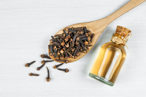 Dried Cloves on a wooden spoon, small bottle of clove oil