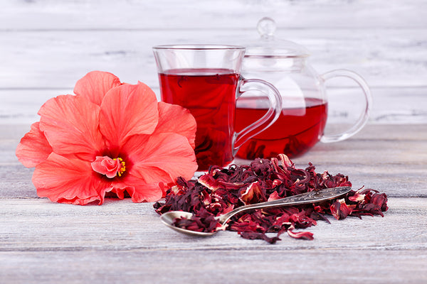 hibiscus flower, dried and as a tea