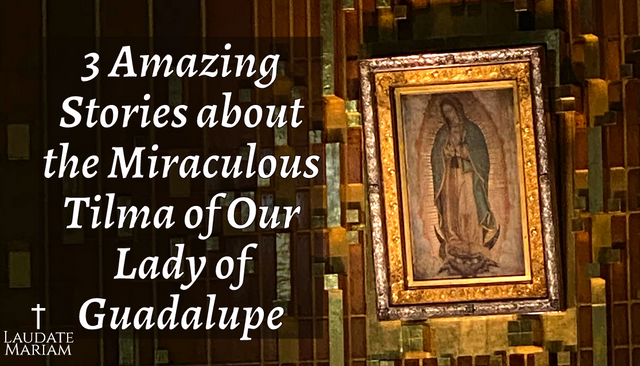 3-amazing-stories-about-the-miraculous-tilma-of-our-lady-of-guadalupe