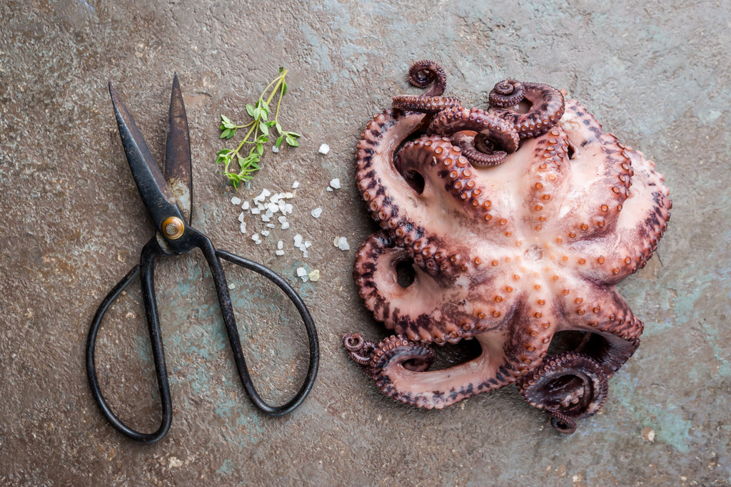 Octopus in tempura