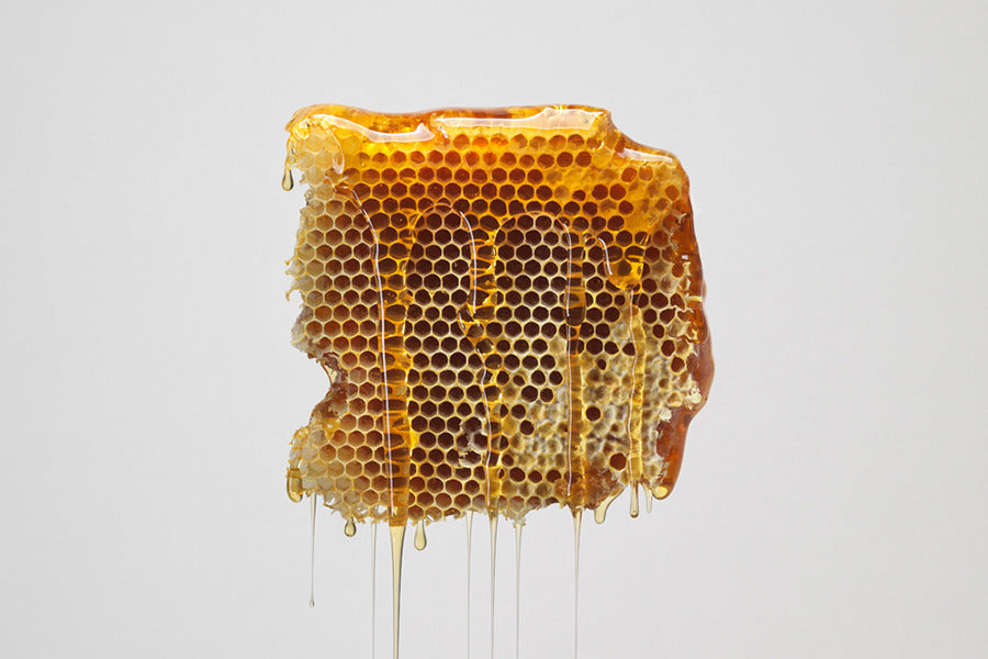 Why Manuka Honey Is A Beauty Lifesaver | Sakara Life