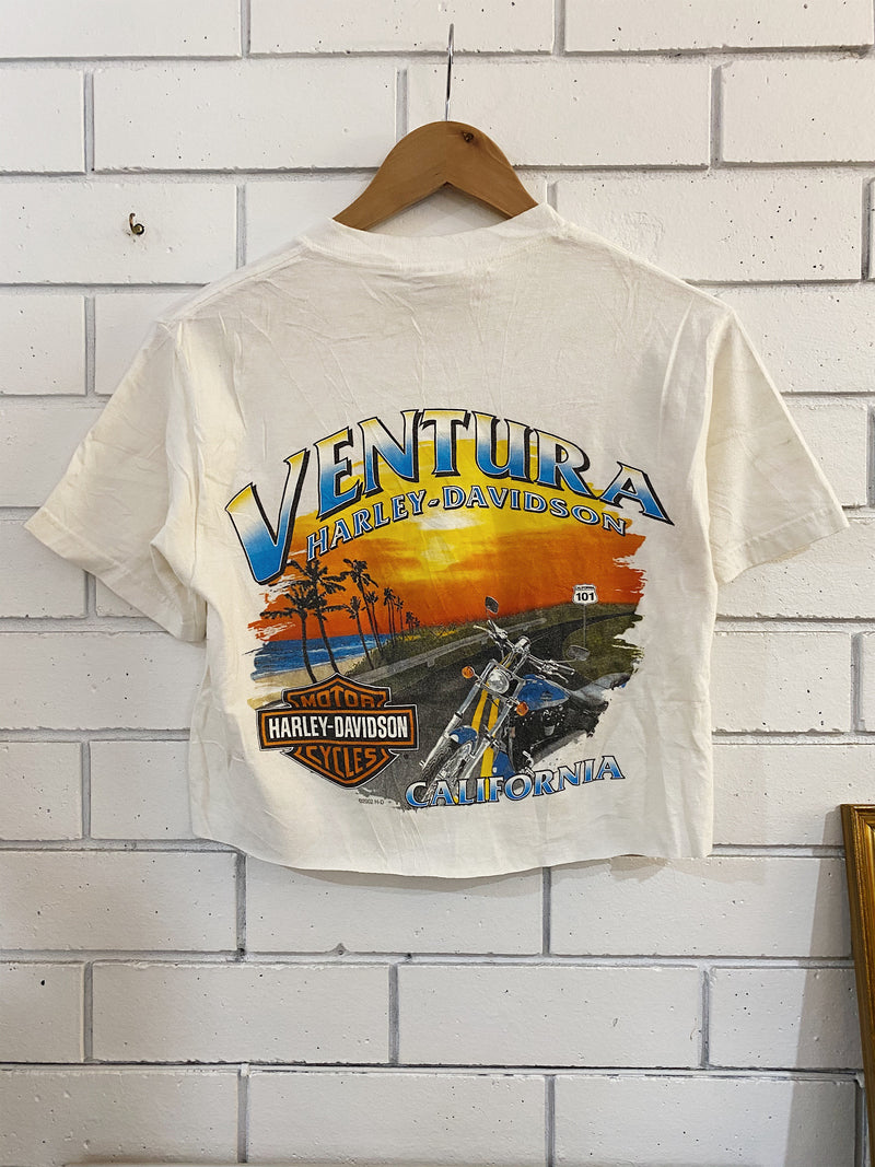 Vintage Harley Davidson T-Shirts – The Bruns Shop