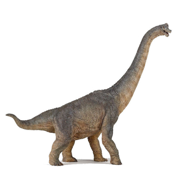 Papo_dinosaur__Brachiosaure_-_langhals_6