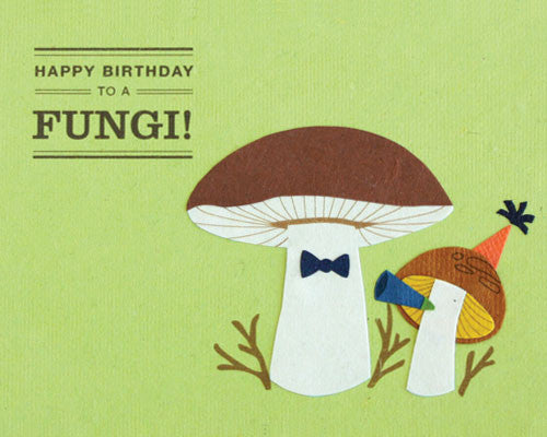 Happy Birthday Fungi Card Zee Bee Market Llc