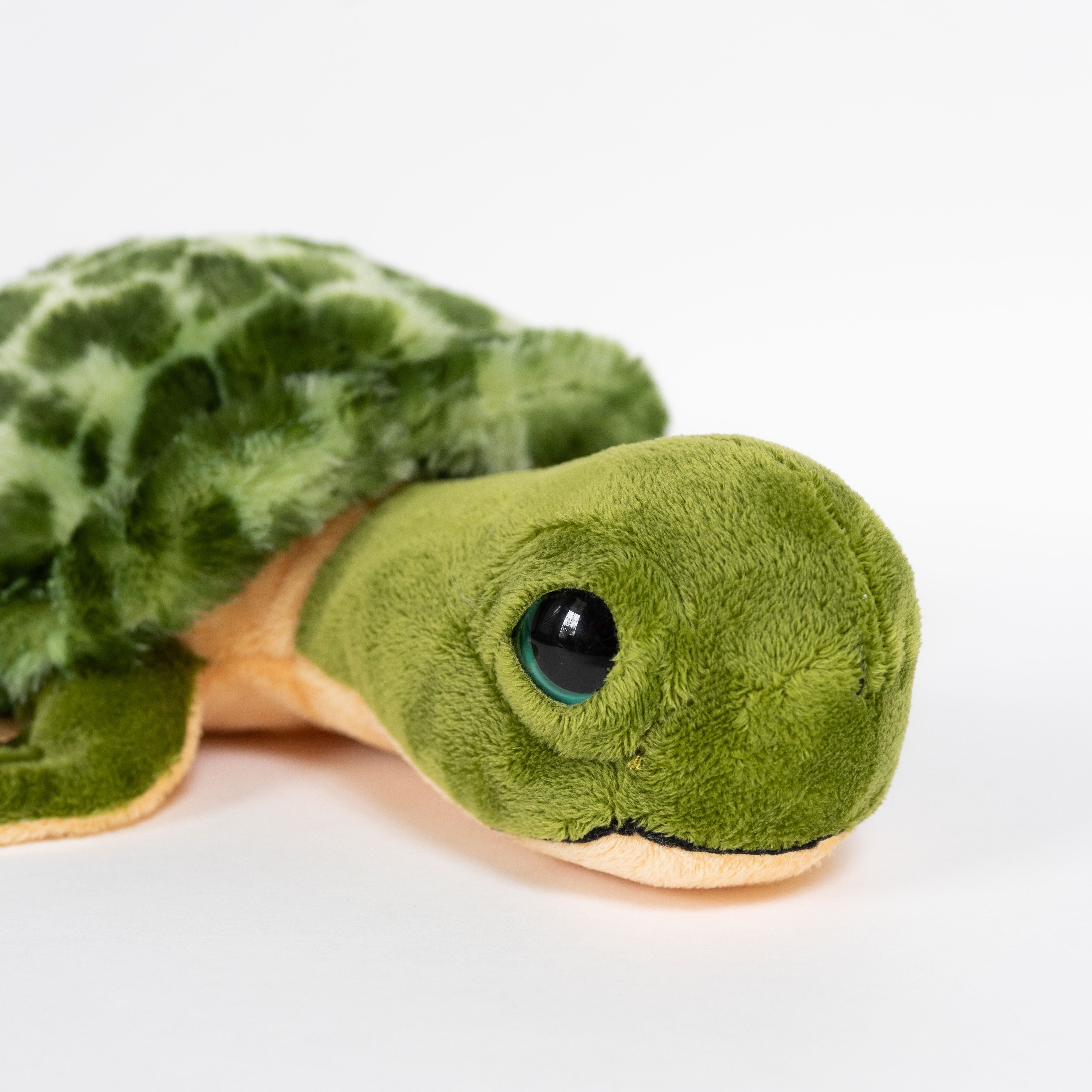 stuffed turtle