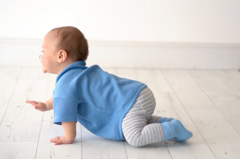 crawling leggings