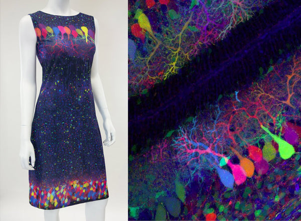 neuroscience art science fashion brainbow shenova dress