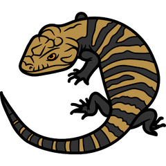 caring for blue tongue skinks