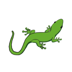 green keeled lizard care