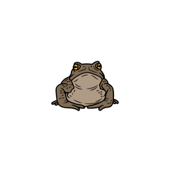 toad care
