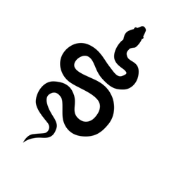 snake care sheet