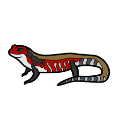 skink care sheet