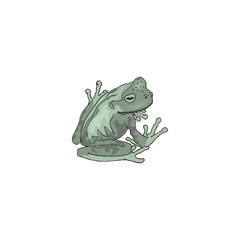 frog care sheet