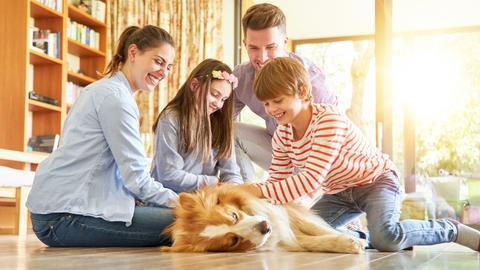 family playing with dog at home