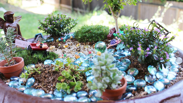 Fairy Garden