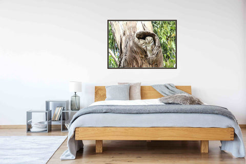 Eastern Barn Owl Ready To Hang Wall Art