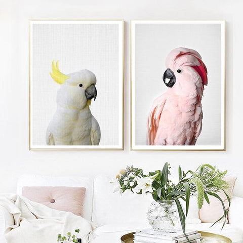 Pink Cockatoo and Sulphur Crested Cockatoo Pair Wall Art