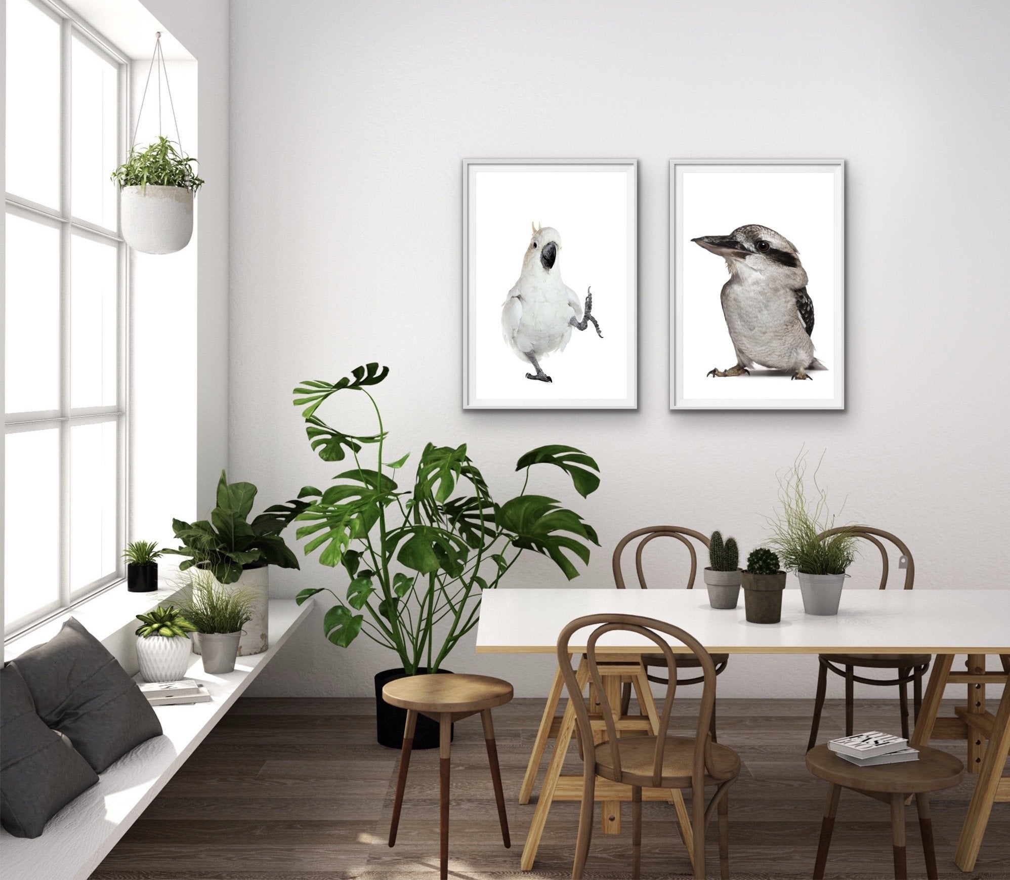 Cocky and Kooky - Cockatoo and Kookaburra Stretched Canvas Framed Wall ...