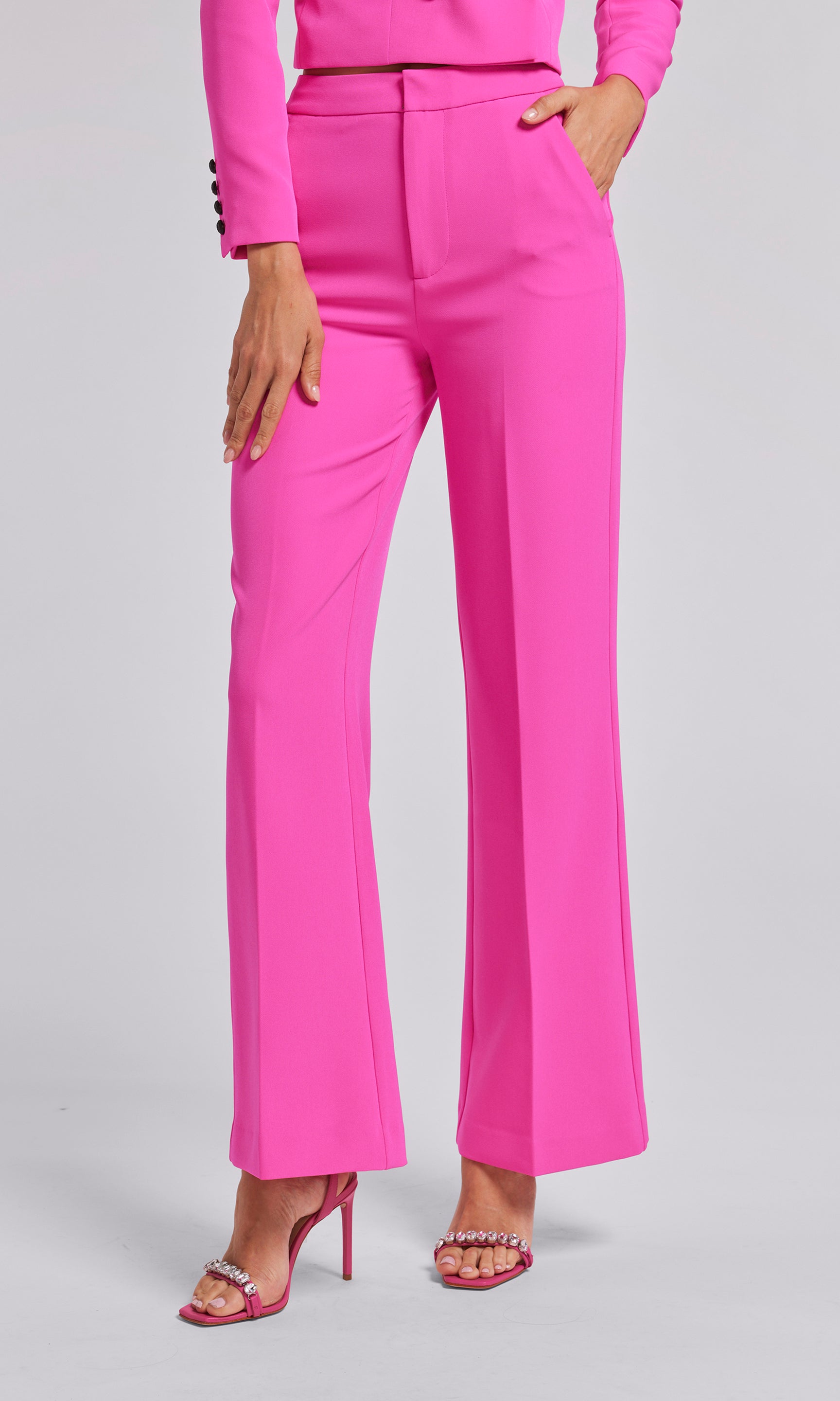 Modern Floral Appliqué High Rise Straight Leg Crepe Pants - Hot Pink –  Luxedress