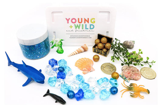 Young + Wild and Friedman Midi Sensory Kits – Pitt Street Kids