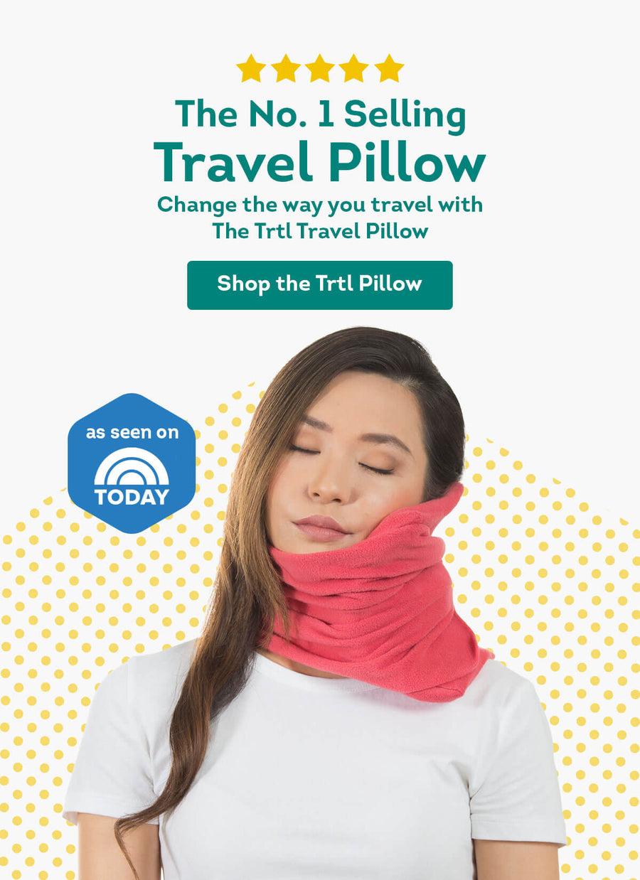 turtle plane pillow