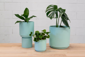 
            
                Load image into Gallery viewer, Lola Planter - Light Teal
            
        
