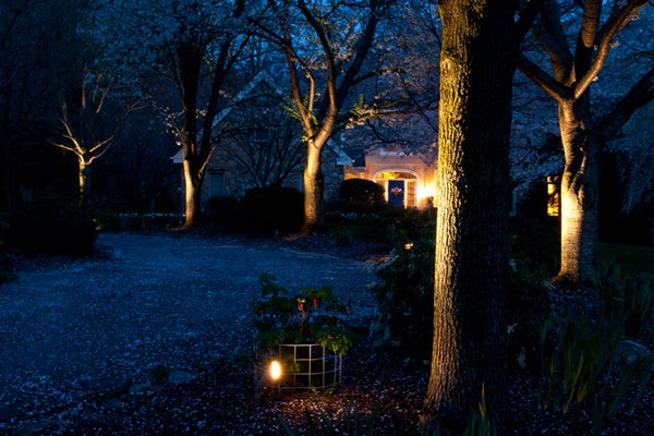 accent landscape lighting