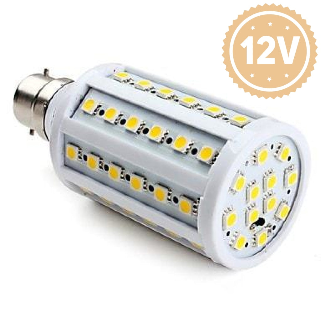 Rubriek Correct Senaat Medium Base Edison Screw DC LED Light Bulb 12 volt 24 volt Path Lamp -  12VMonster Lighting