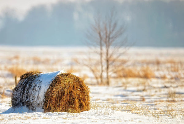 Which type of Hay Baler is right for you?