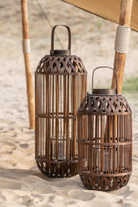 Lantern bamboo brown