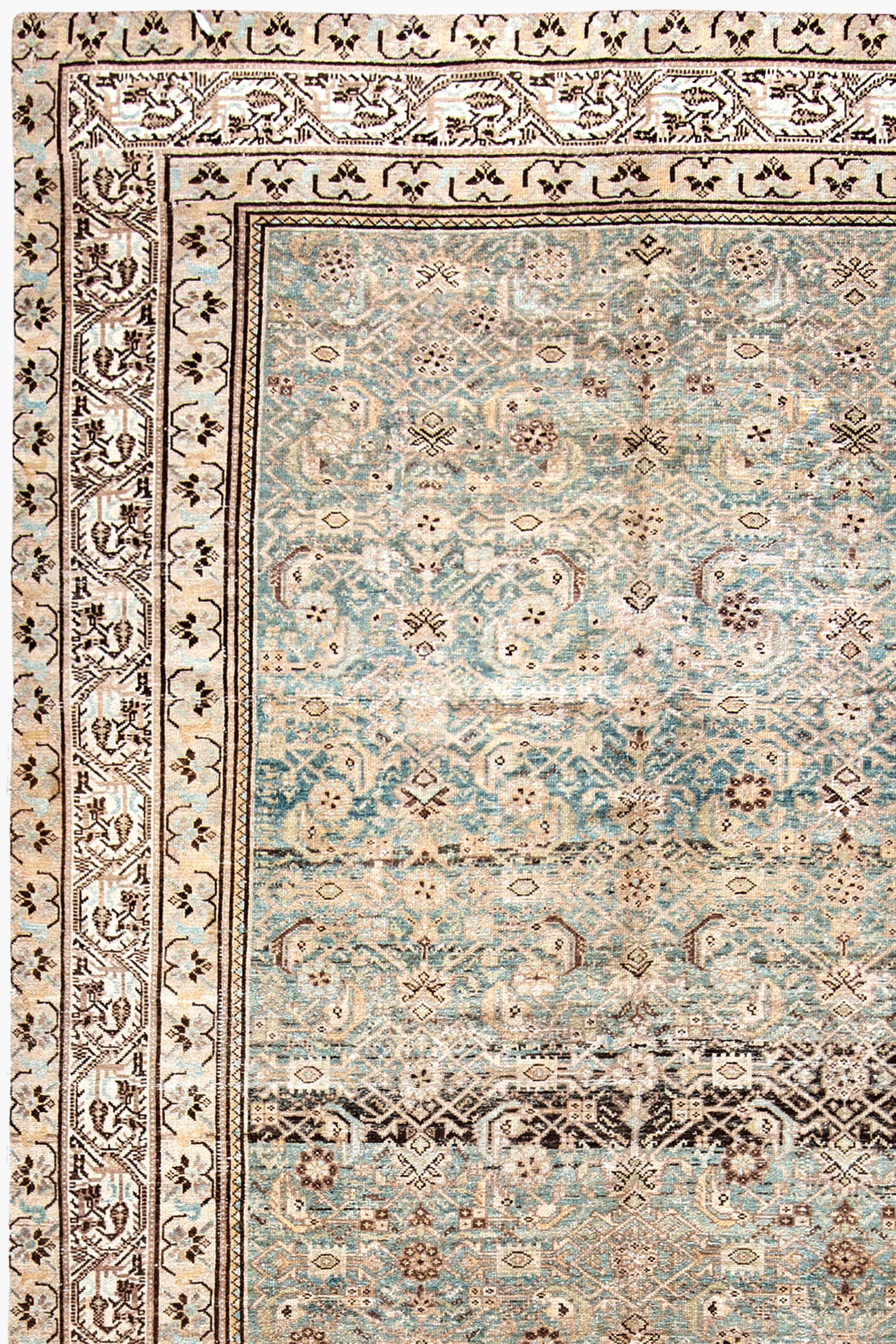 MALAYIR RUG, AR31217, WEST PERSIA, 6' X 14'5" - thumbnail 2