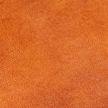 Leather | Tan - color option