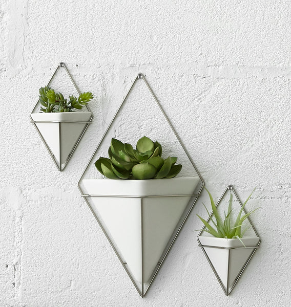 wall planter, indoor planters, planter set, planter, planters