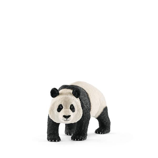 Giant Panda