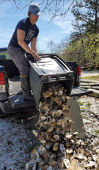 Recycling Oysters on Martha's Vineyard with the Shellfish Group