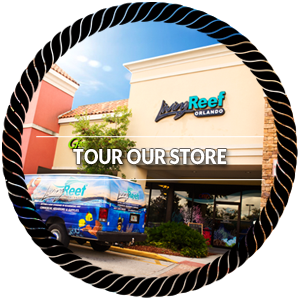 Tour Our Store