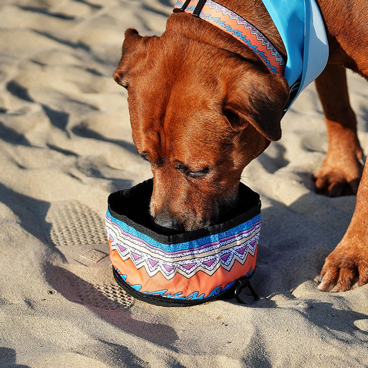promotional travel dog bowls