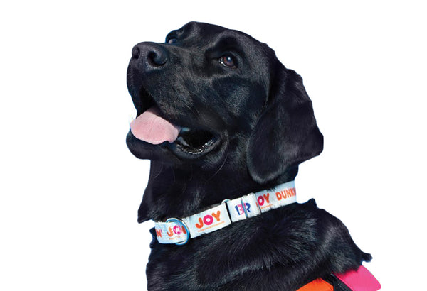 Download Custom Dog Running Leash Wholesale Pridebites