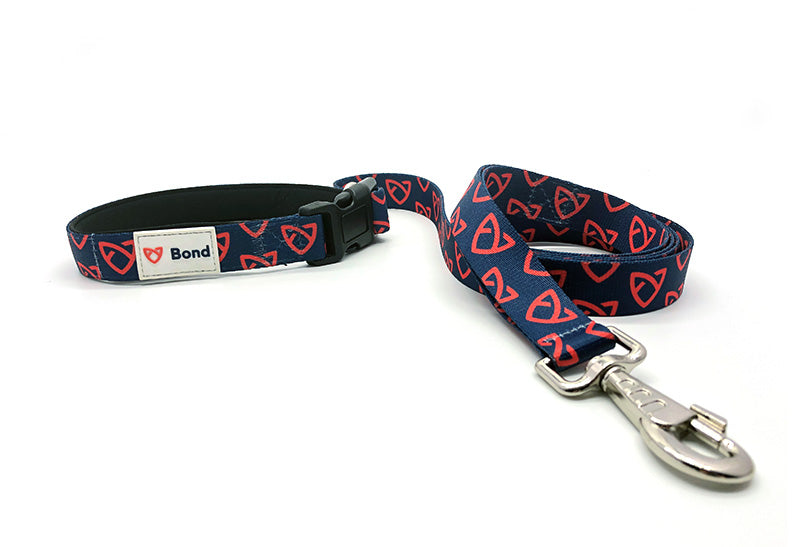 Download Custom Dog Running Leash Wholesale Pridebites