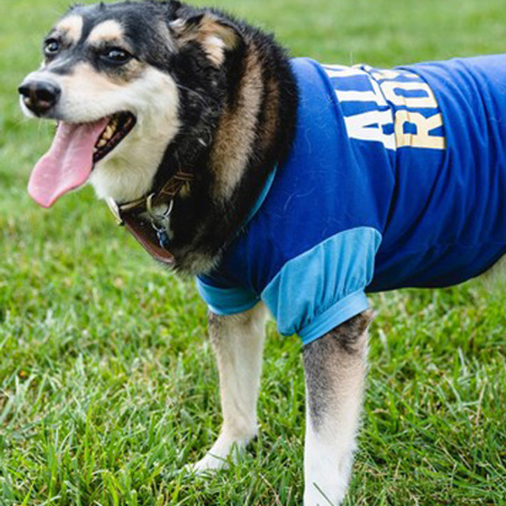 Medfølelse Overskyet den første Custom Dog T-Shirts (Wholesale) | PrideBites
