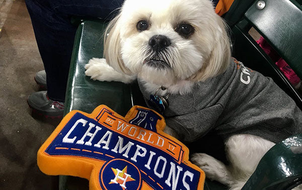 brewers dog jersey