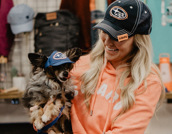 subaru dog hat