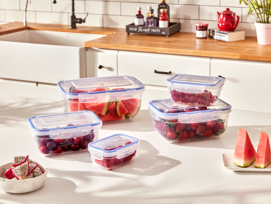 #W02-1383 Smart 3-Divided Food Storage Box 3 pcs Pack (case pack 12 pcs) 