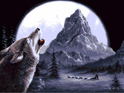 Wolf Howling At Moon Painting By Numbers Jenra Store A