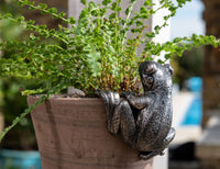 Jardinopia US - Frog Plant Pot Hanger