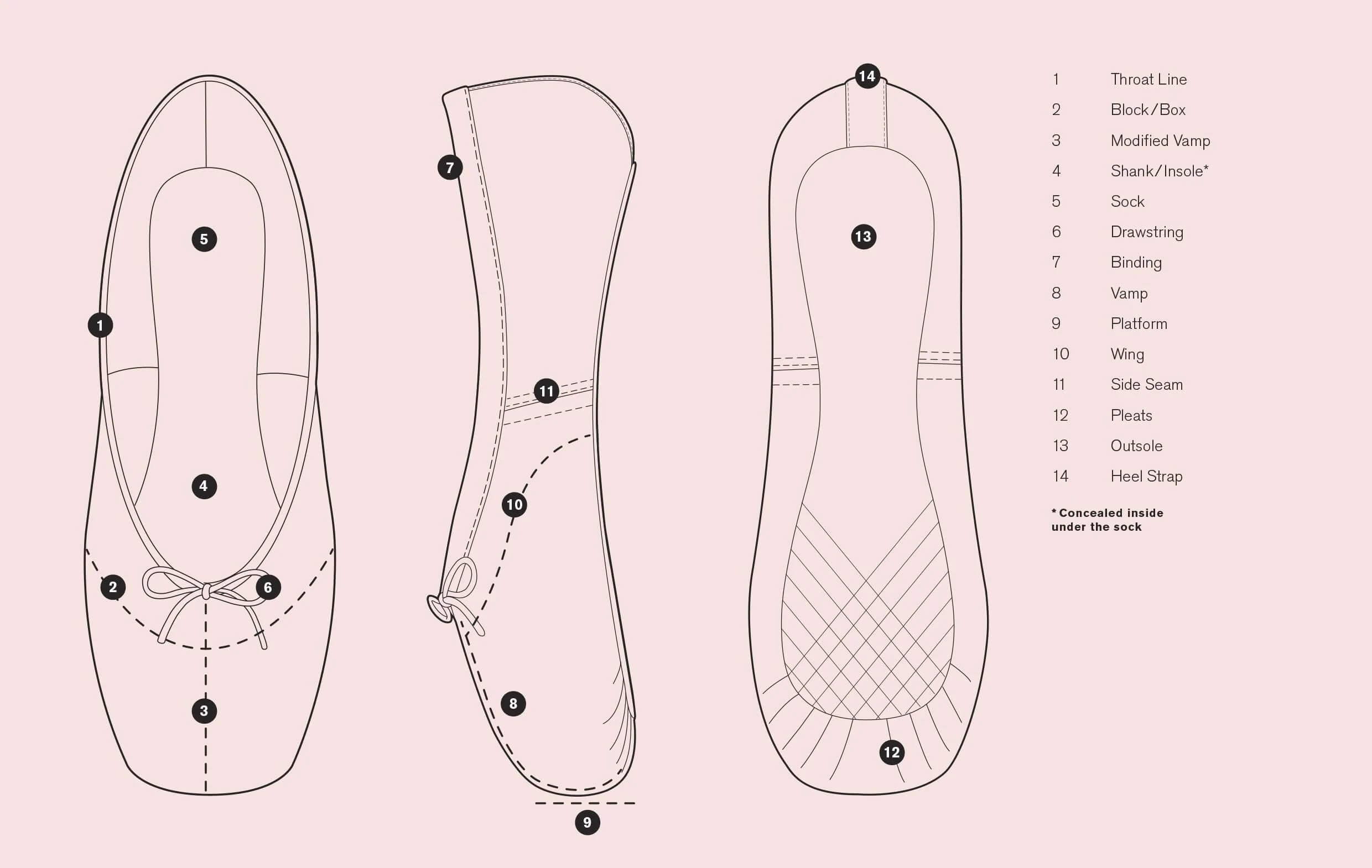 Pointe Shoe Anatomy Diagram