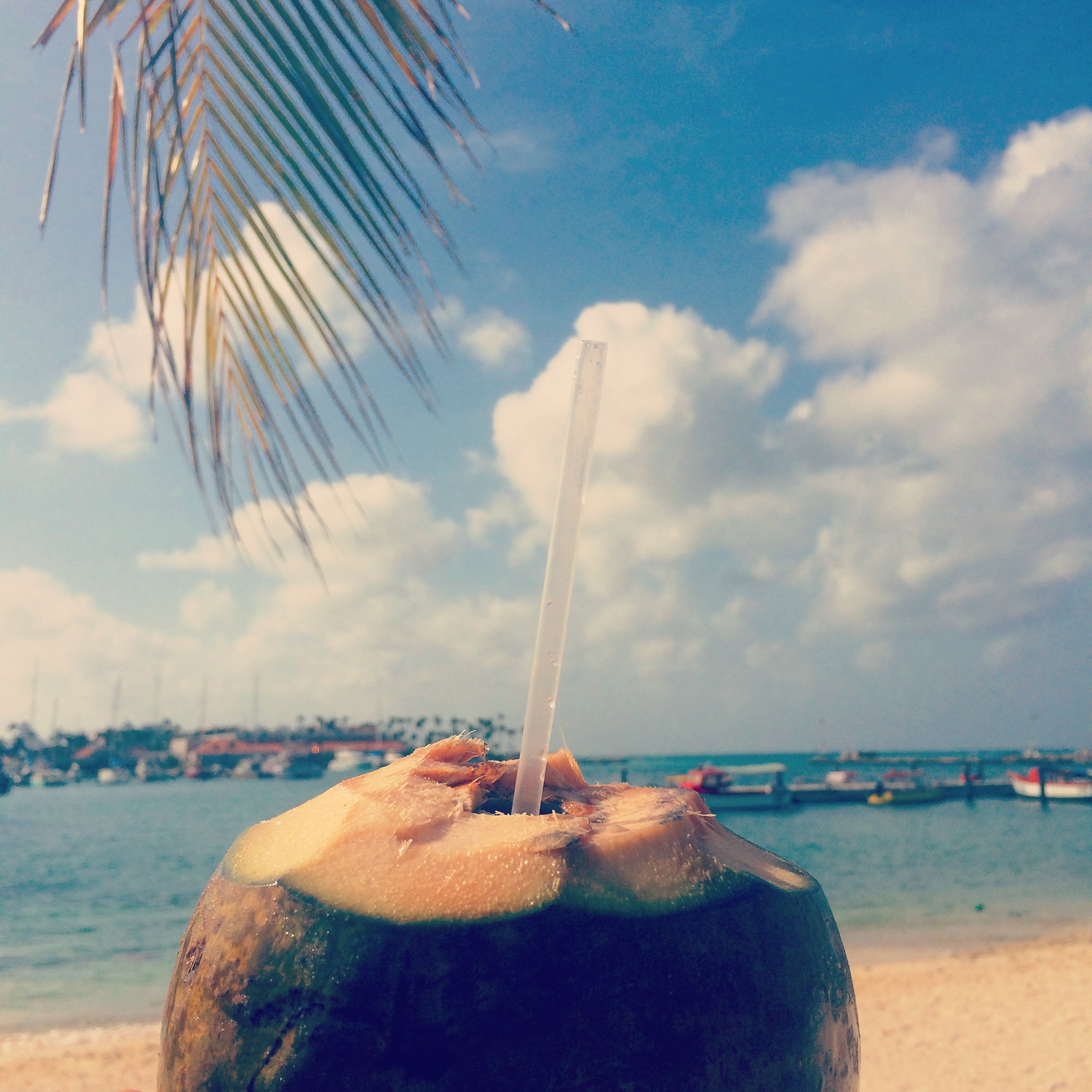 Coconuts Aruba by KARMA for a cure