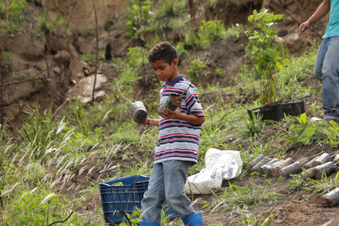 One Tree Planted child planting trees