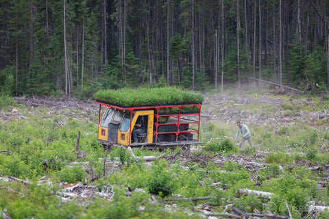 One Tree Planted - Tuctuc